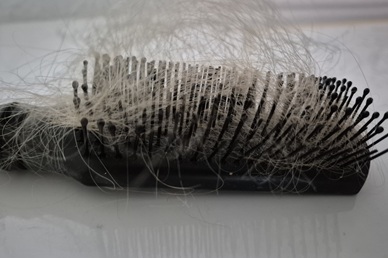 Haarbürste mit vielen Haaren